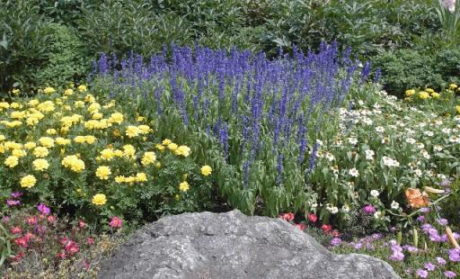 中山晋平記念館夏の花