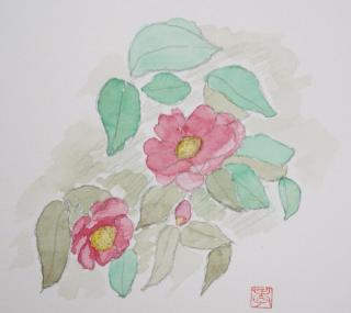 山茶花水彩画