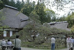 常楽寺