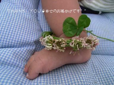 シロツメクサのアンクレット♪