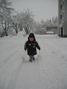 2歳3ヶ月新雪がスキです