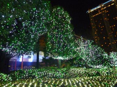 20091224Winter illumination 01 5th ANNIVERSARY