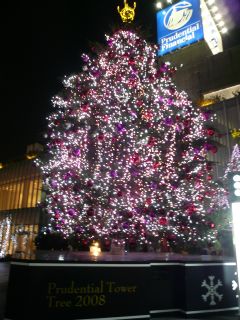 20081212東京タワー開業50周年記念 クリスマスイルミネーション2008＆オークラ・赤プリイルミネーション
