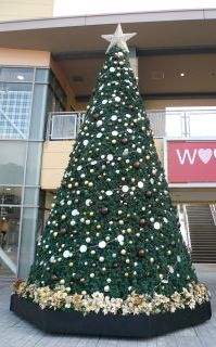 081115三井アウトレットモール幕張