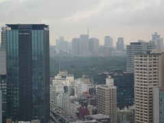 081008野球観戦デート