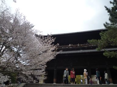 20100409-10京都・奈良　桜旅行