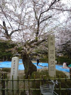 20100409-10京都・奈良　桜旅行