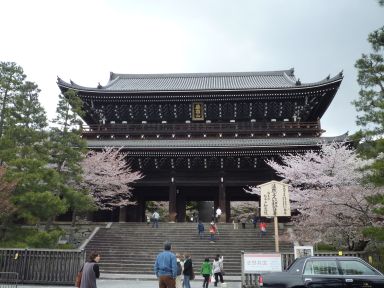 20100409-10京都・奈良　桜旅行