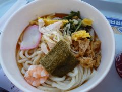 20100806TDR旅行1日目