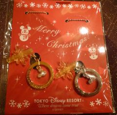 20091118ディズニーシーデート