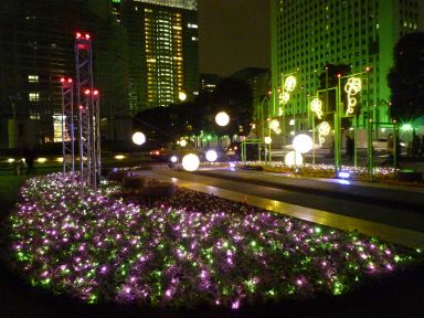 20091224フラワーファンタジア/大手町サテライト