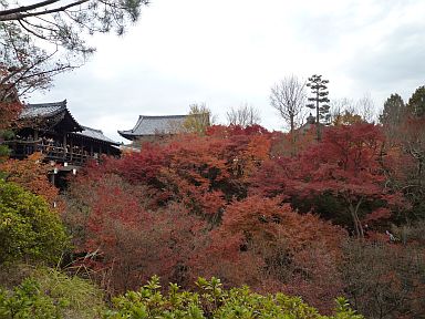 20091129東福寺