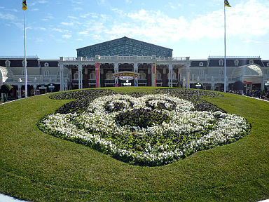 20100123ディズニーランド