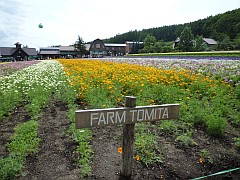 20090724北海道旅行1日目-ファーム富田