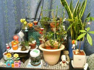 グリーン大集合（2006.03.13）