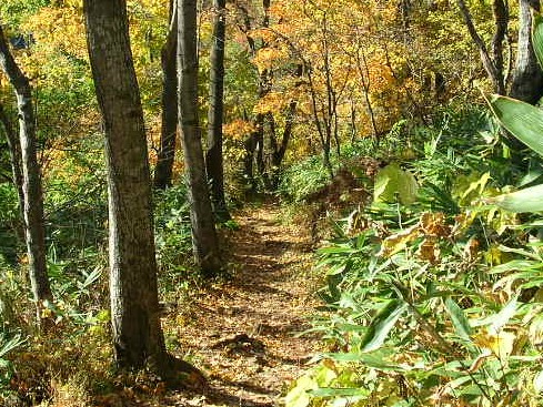 円山登山道