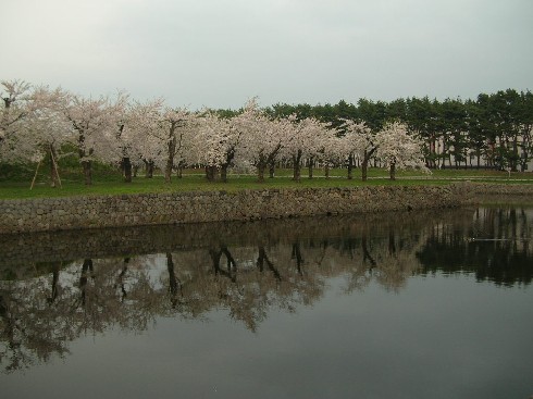 五稜郭公園