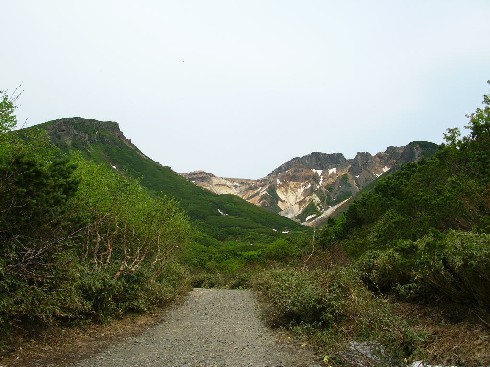 十勝岳登山口から山頂火口付近を