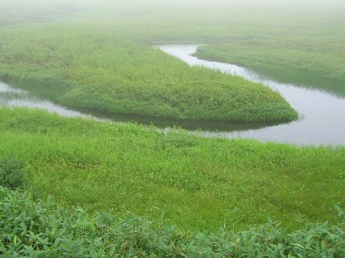 沼や蛇行する川