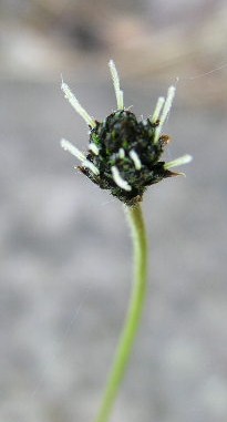 2005-06-03 19:06:45