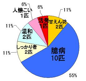 キジトラ集計