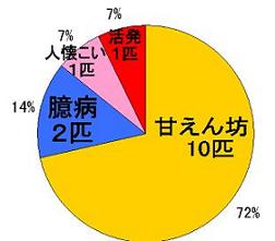 茶トラ集計