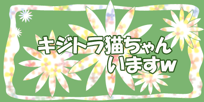 キジトラ猫います