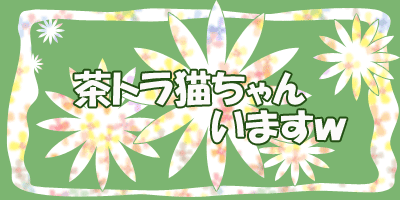茶トラ猫います