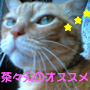 茶々丸のオススメ★