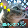 蘭丸のオススメ★