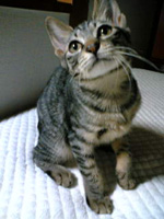 スースーちゃん