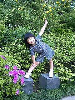 六本木の庭３
