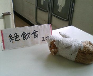 2006.7.3.病院糸色飲食