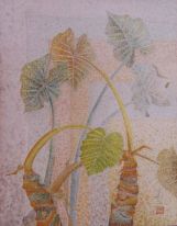 Mikku＠さんの絵　　題名：『涼風』