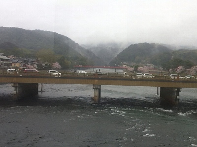 201104桜の宇治橋__.jpg