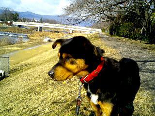 土手の上から♪