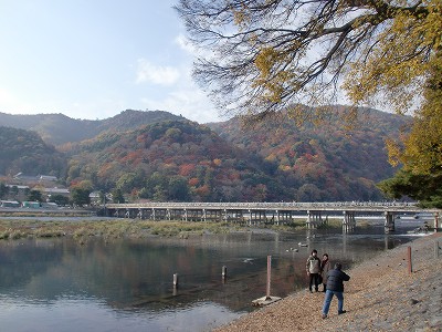 CIMG0229.jpg