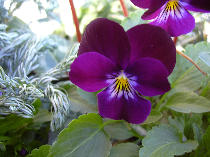 2005-10-30 10:12:08