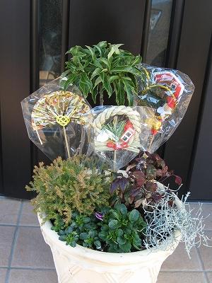 正月用寄せ植え