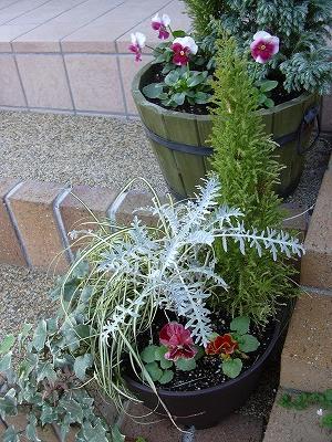 パンジー寄せ植え