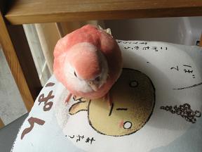 こげパンの上に着地