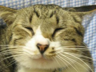 まったり顔のお方