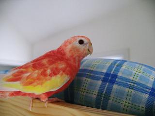 このベッドがお気に入り