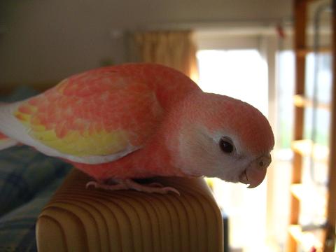 またまた暗かった。。。