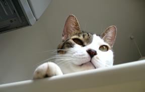 下から見た女子