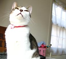 座りなおした女子