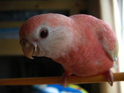 またしても暗めに撮影。。。