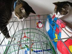 なぜ上から覗く？！