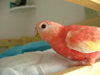 目の周りが白いね～