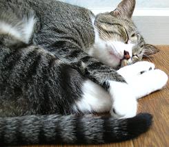 ぐっすりやねー。